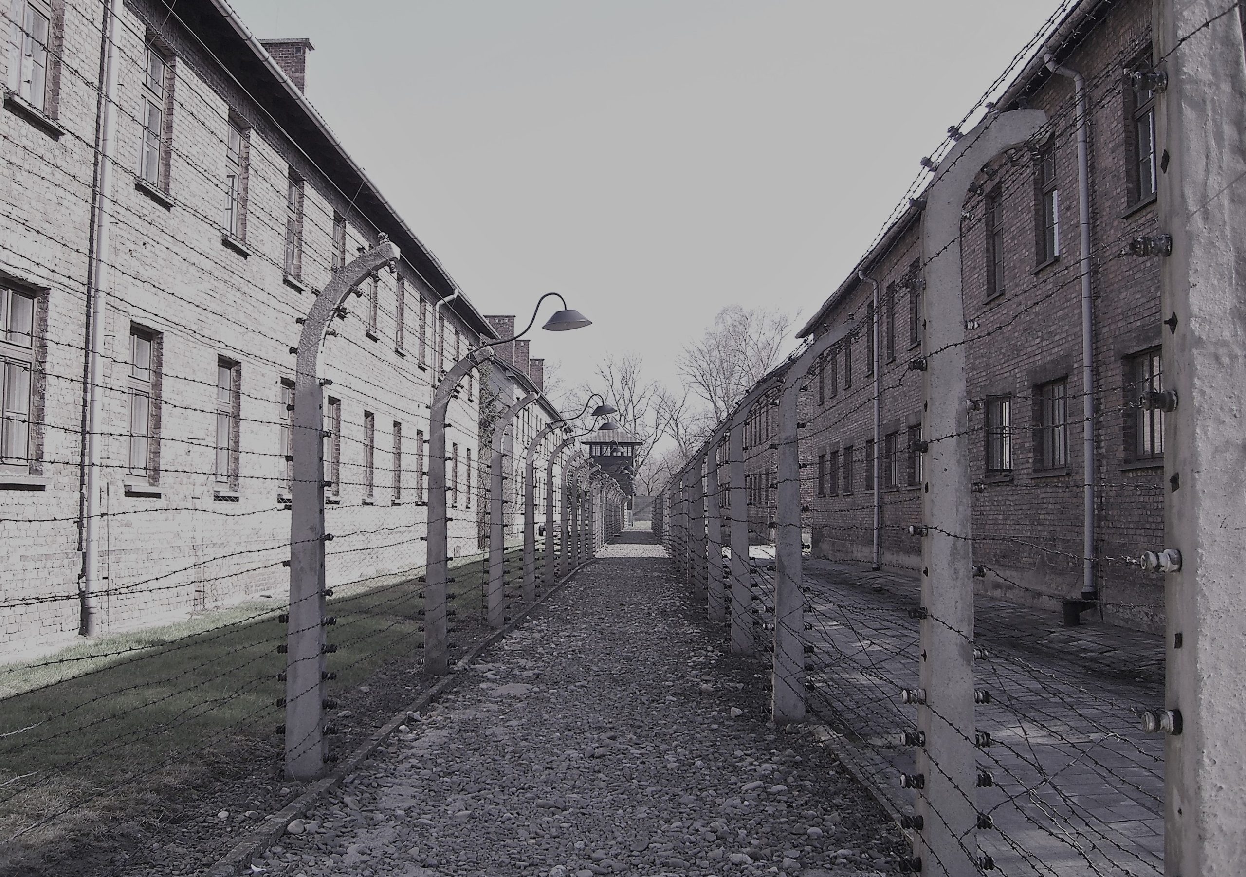 アウシュヴィッツ強制絶滅収容所跡の画像。
左右にレンガ造りの建物。その間に両側を鉄条網で囲われた小道が写っています。