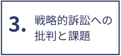 目次：戦略的訴訟への批判と課題